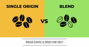 咖啡小撇步：單一來源 VS. 單一來源混合